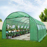 Large 6x3m walk-in PE tunnel garden greenhouse set up in Australian backyard