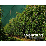 view demonstrating 30 percent green shade cloth used across vegetable patches, citrus trees, and native gardens