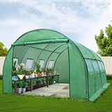 walk-in tunnel greenhouse 4x3m green PE cover in Australian backyard