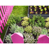 Galvanised raised planter filled with soil growing ornamental plants