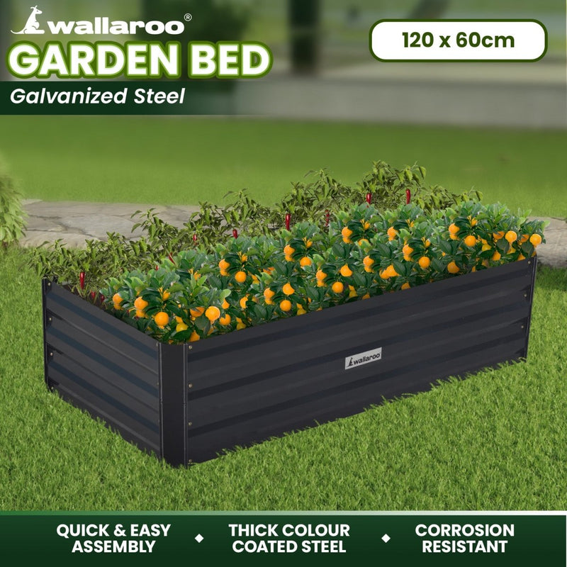 Home & Garden > Garden Beds - Wallaroo Garden Bed 120 x 60 x 30cm Galvanized Steel - Black - Garden Yard