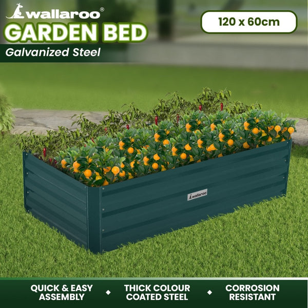 Home & Garden > Garden Beds - Wallaroo Garden Bed 120 x 60 x 30cm Galvanized Steel - Green - Garden Yard