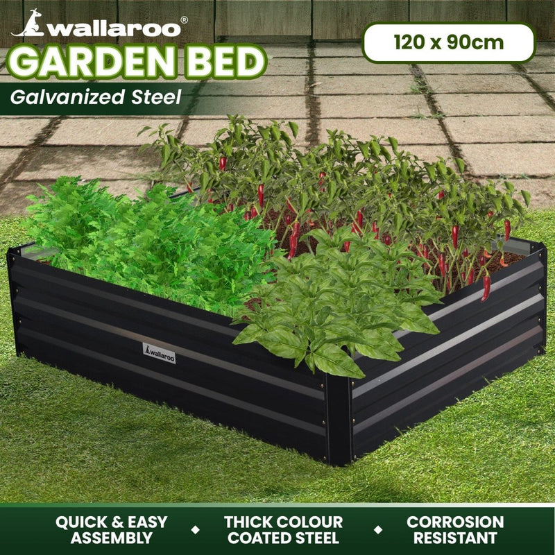 Home & Garden > Garden Beds - Wallaroo Garden Bed 120 x 90 x 30cm Galvanized Steel - Black - Garden Yard
