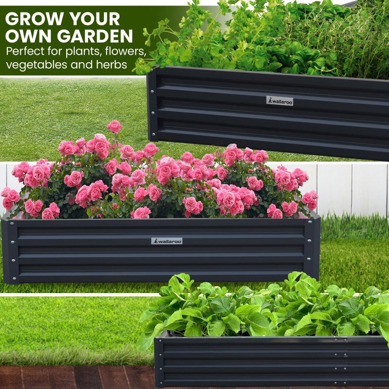 Home & Garden > Garden Beds - Wallaroo Garden Bed 240 x 120 x 30cm Galvanized Steel - Black - Garden Yard
