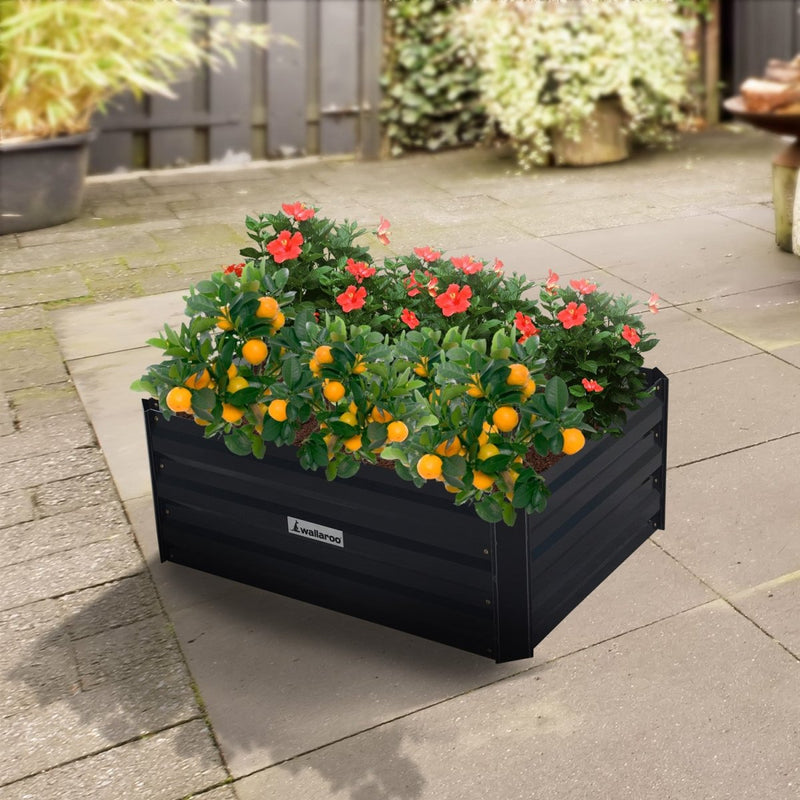 Home & Garden > Garden Beds - Wallaroo Garden Bed 80 x 60 x 30cm Galvanized Steel - Black - Garden Yard