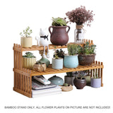 Home & Garden > Garden Furniture - 2 Tier Bamboo Plant Stand Shelves Flower Pot Rack Garden Indoor Outdoor Patio - Garden Yard